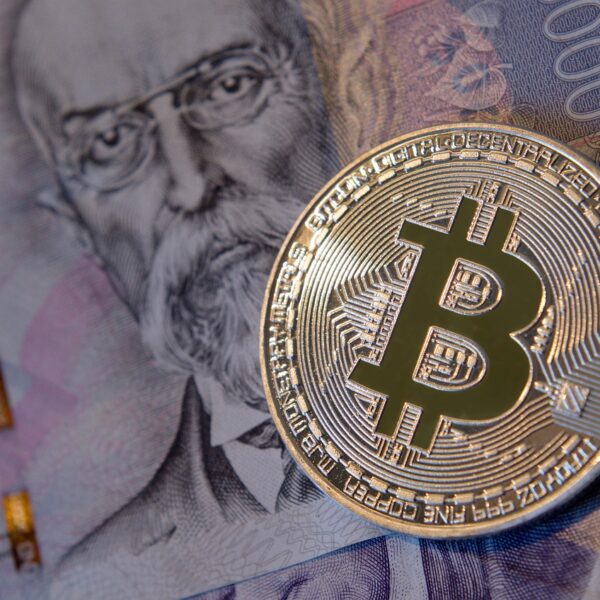 Kolik skutečně vyděláváte? Příjmy, které vypadají jinak než realita