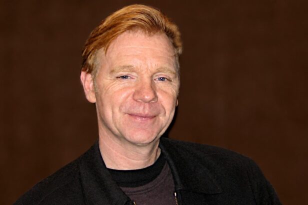 Horatio Caine: Rudovlasý kat Miami, který nikdy nepřestal pálit