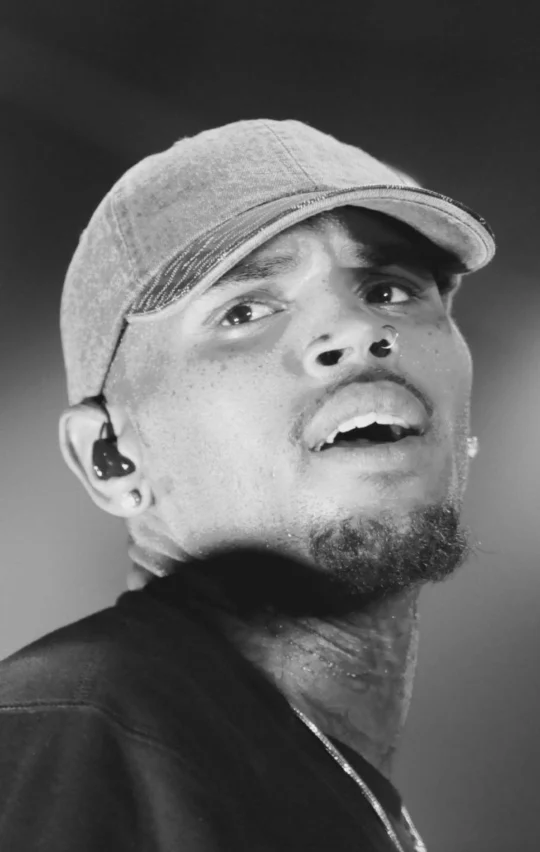 Fotografie 4 k článku Chris Brown v milionovém průšvihu: Za útok psa padne 9,5 milionu dolarů