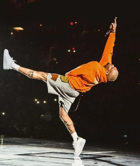 Fotografie 3 k článku Chris Brown v milionovém průšvihu: Za útok psa padne 9,5 milionu dolarů