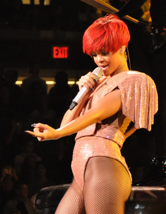Fotografie 2 k článku Rihanna po kritice reagovala jediným slovem: Paříž řeší její „Damn“