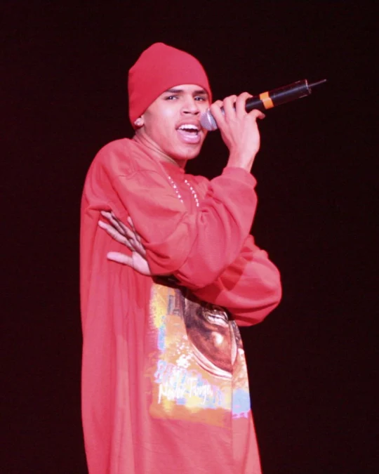 Fotografie 1 k článku Chris Brown v milionovém průšvihu: Za útok psa padne 9,5 milionu dolarů